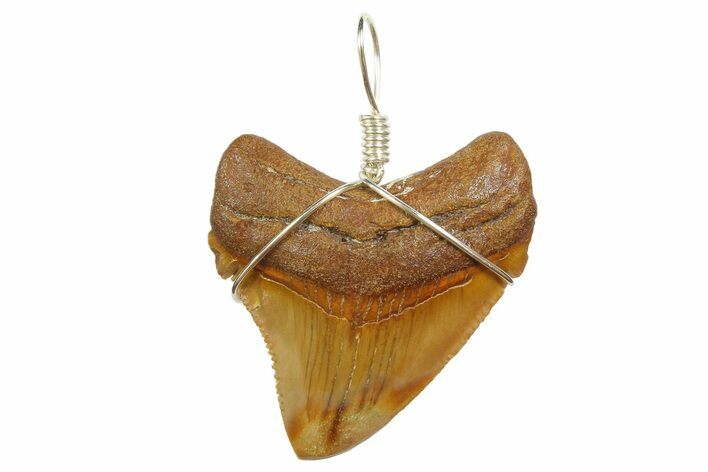 Fossil Megalodon Tooth Necklace #173867